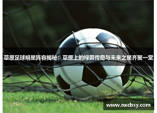草原足球明星阵容揭秘：草原上的绿茵传奇与未来之星齐聚一堂