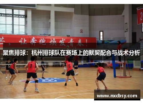 聚焦排球：杭州排球队在赛场上的默契配合与战术分析