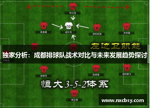 独家分析：成都排球队战术对比与未来发展趋势探讨